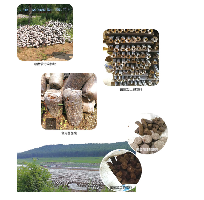 ȼ��������ѹ���¯ȼ